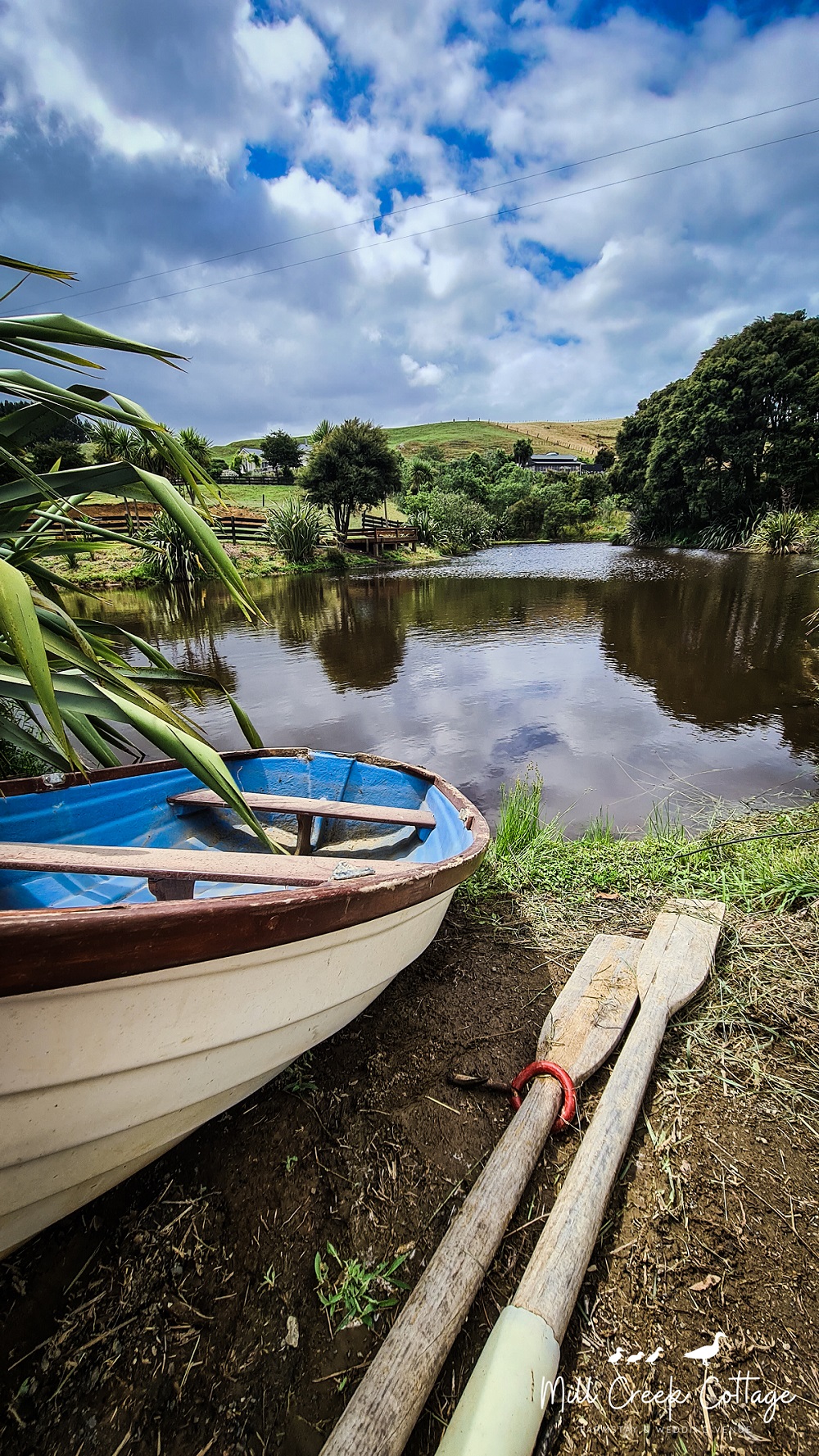 The pond and dinghy