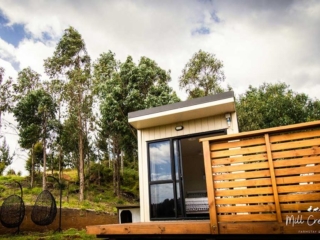Cabin and cabin patio