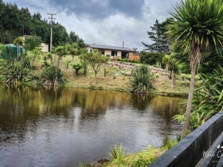 View of the pond and cottage from the driveway