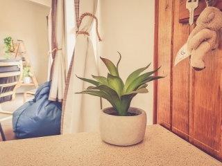 Mill Creek Cottage bench and pot plant