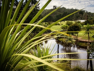 View of the pond from the cottage