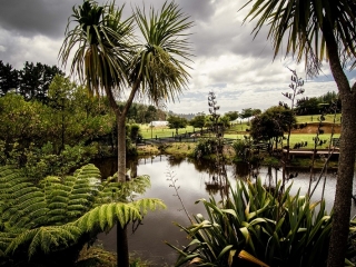 Overlooking the Pond